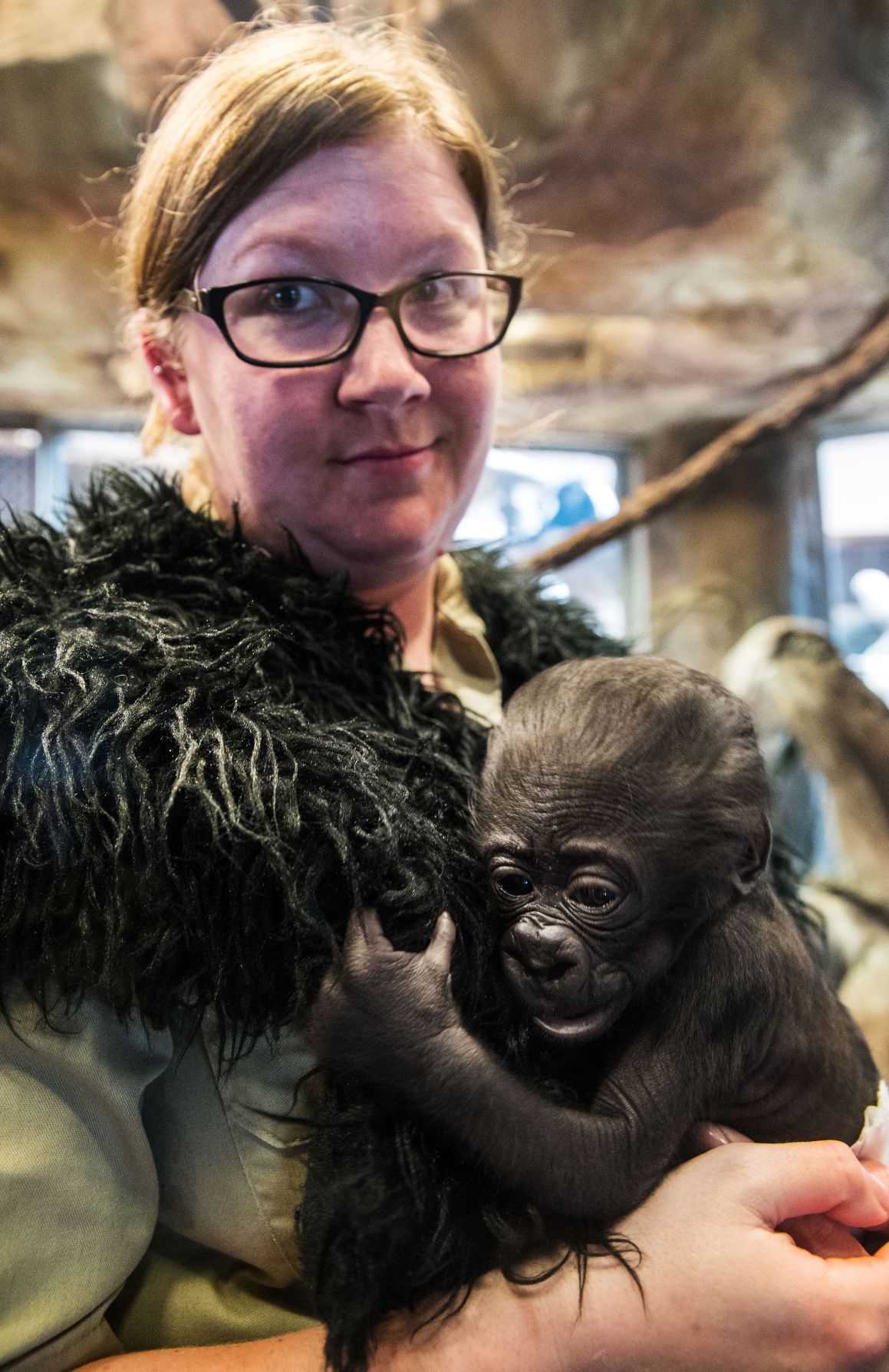 Baby gorilla debuts at Henry Doorly Zoo